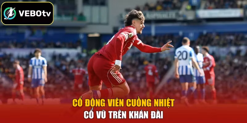 Cổ động viên cuồng nhiệt cổ vũ trên khán đài
