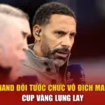 Ferdinand Đòi Tước Chức Vô Địch Man City - Cup Vàng Lung Lay