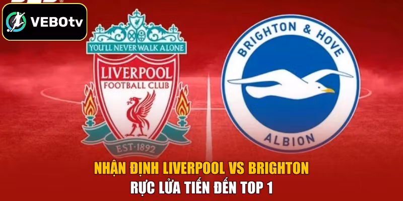 Nhận Định Liverpool Vs Brighton - Rực Lửa Tiến Đến Top 1