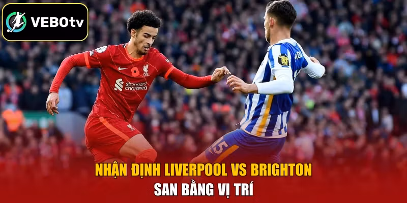 Nhận định Liverpool vs Brighton san bằng vị trí