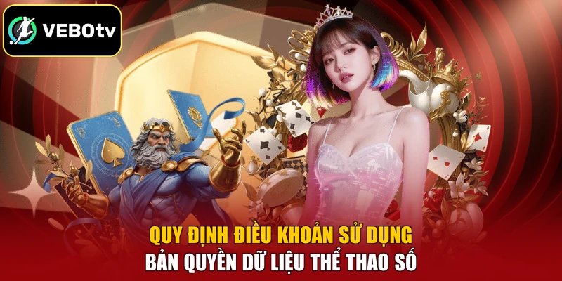 Điều Khoản Sử Dụng 2 Quy định điều khoản sử dụng bản quyền dữ liệu thể thao số