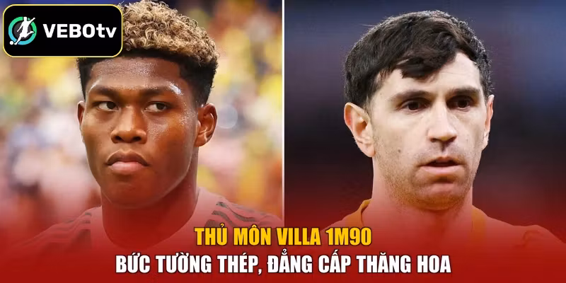 Thủ Môn Villa 1m90 - Bức Tường Thép, Đẳng Cấp Thăng Hoa