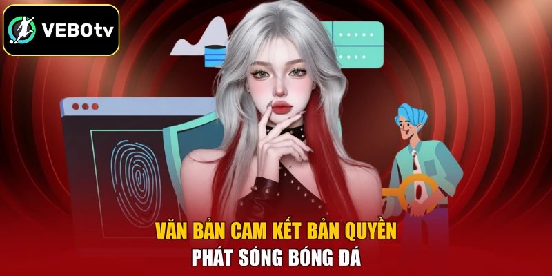 Điều Khoản Sử Dụng 3 Văn bản cam kết bản quyền phát sóng bóng đá